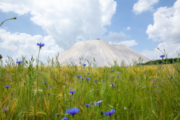 Monte Kali or Kalimandscharo Landscape in Heringen  Germany