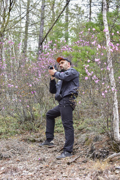 On the slopes of Sikhote-Alin mountains photographer removes bloom rhododendron sichotense