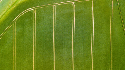 Aerial drone view of cultivated farmland and fields during the summer in Wales, UK © whitcomberd