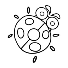 Ladybug cartoon illustration isolated on white background for children color book