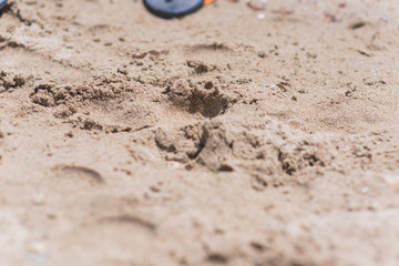Beach sand overlooking small waves