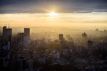 モヤのかかった東京 Mystical Tokyo