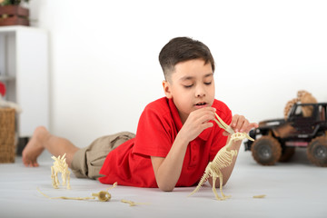 the  schoolboy the brunette in a red shirt lies on a floor and plays with toy skeletons of dinosaurs.
