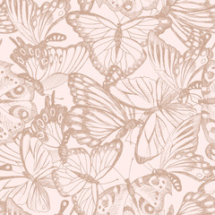 Collection of Hand Drawn tender silhouette butterflies. Vector illustration in vintage style. High detailed hand drawn illustration. Spring theme of butterfly. Vector design