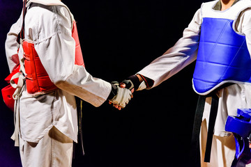 Two Taekwondo are handshake. Before the match isolated on black background. - obrazy, fototapety, plakaty