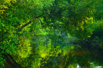 reflet sur la rivière