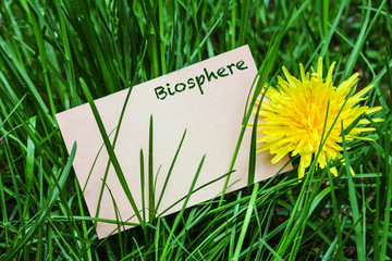 Biosphere