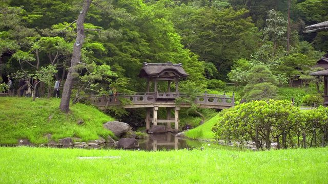 zoom in on arch wooden bridge in japanese garden