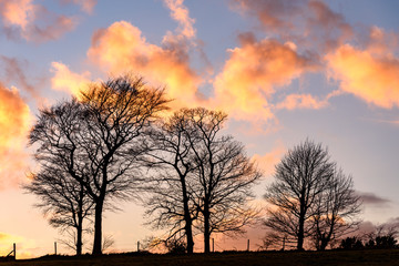 Sunset Clouds