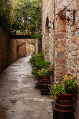 Fototapeta na wymiar Stone-lined alley in the old town of San Donato, Italy.