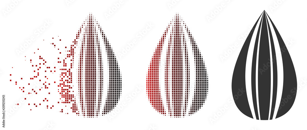 Poster vector sunflower seed icon in dissolved, dotted halftone and undamaged whole versions. disintegratio