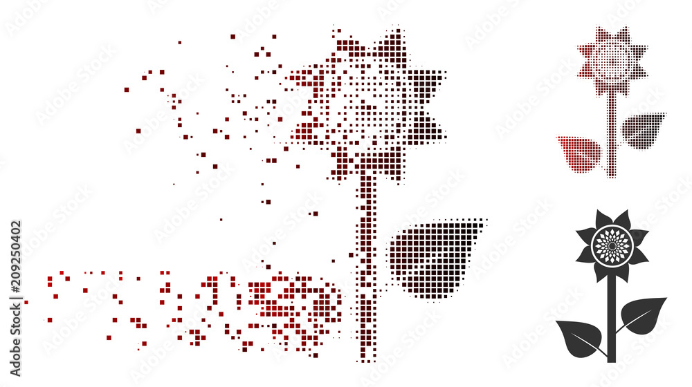 Poster vector sunflower plant icon in dissolved, dotted halftone and undamaged entire variants. disintegrat