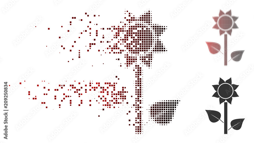 Poster vector sunflower plant icon in sparkle, pixelated halftone and undamaged whole versions. disappearin