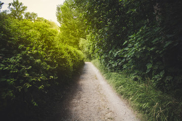 Durcal, Spain; June 13, 2018: Path at sunset