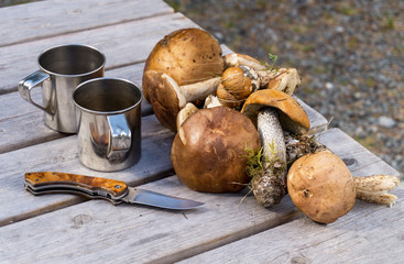 Forest mushrooms, a knife and two metal mugs