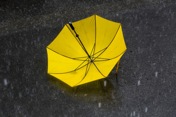 yellow umbrella in rain