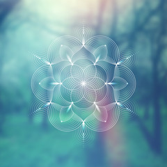 Template of banner for web and social media, square format; Spiritual sacred geometry; Yantra, chakra or lotus on psychedelic blurred background; Yoga, meditation and relax. - obrazy, fototapety, plakaty