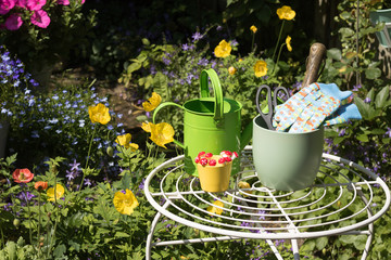View of colorful flowering summer garden. Garden tools, gloves, flower pots, watering can is on a...