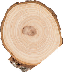 Obraz premium Juniper core macro
