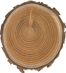 Sandalwood core macro