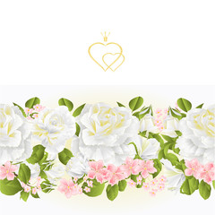Floral border seamless background white Roses  vintage vector Illustration for use in interior design, artwork, dishes, clothing, packaging, greeting cards