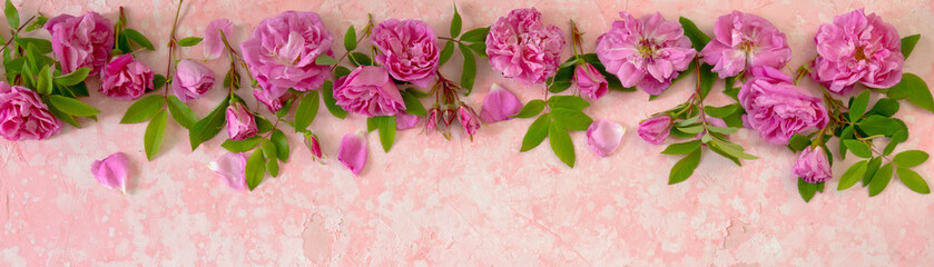 Border of pink roses on a pink old ructic concrete background, top view, copy space