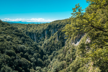 Zeda-gordi, Georgia. Forest of Okatse canion.Georgia