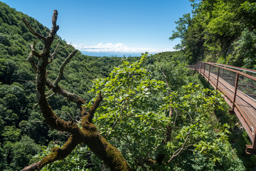 Okatse Canyon, hiking trail above the canyon, Zeda Gordi, Georgia
