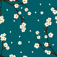 Plum Blossom Flower on Indigo Blue Background