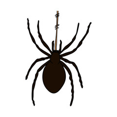 Spider cartoon illustration isolated on white background for children color book