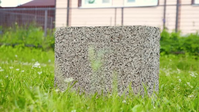 building cement block on green grass in front of the house