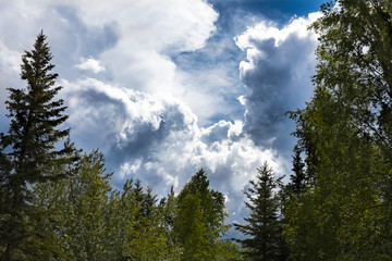 Dramatic Storm Clouds