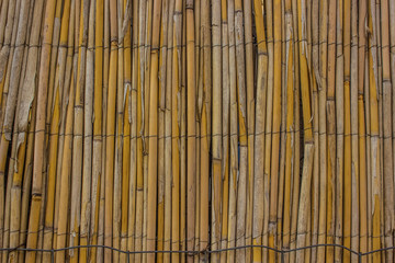 bamboo wall background texture concept with empty space for copy or text