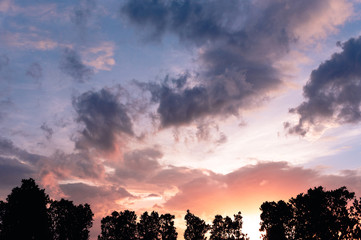 twilight sky , sunset sky with silhouette trees foreground