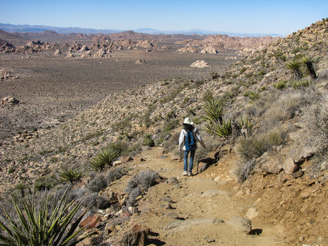 A woman hiking on the popular and moderately easy Mt. Ryan Trail in Joshua Tree National Park, California. Mt. Ryan is the highest point in the park.