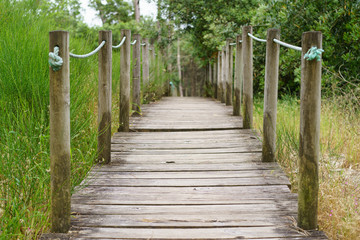 Fototapeta premium Hinged wooden bridge in the park. The road in the forest, the northern Portugal