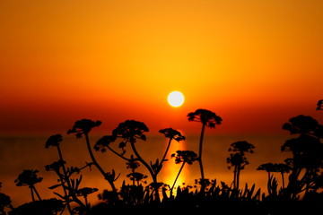 Sunrise Silhouette Kefalonia