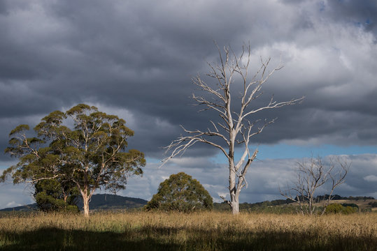 Skyline At Oberon