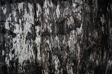 Obraz premium old wood background