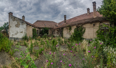 verwachsener garten bei einem haus panorama