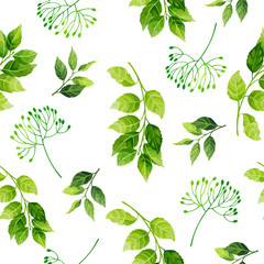 Naklejki  Wzór zielonych liści. Ilustracja wektorowa.