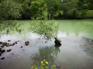 Donaukanal Wien, ein Stück Natur in der Großstadt