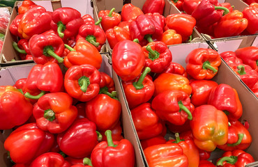 Several red peppers in carton cases in the supermarket