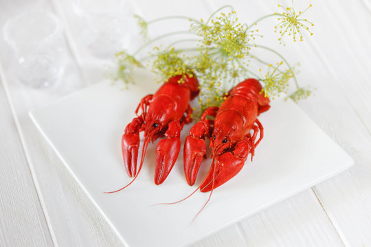Red boiled crayfish with twig of dill on the white plate, wooden rustic table . Two snaps glass of liquor with salt on edge, white vine. Traditional Finnish Crawfish fest, napkin crawfish