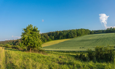 Landschaft im Frühling