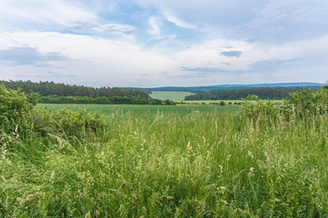 Fototapeta premium Landschaft im Frühling