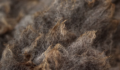 close up of shorn sheeps wool detail