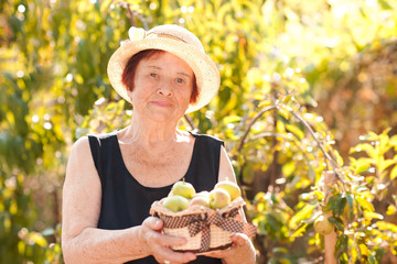 Smiling old woman with green apples outdoors. Looking at camera. 70s.