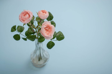 Pink roses in a vase