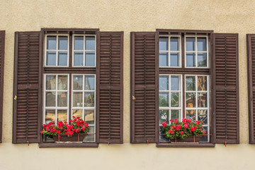 beautiful vintage windows with red flowers on a wall and empty space for copy or text